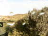 20200911-MOVI0011-frame0001.jpg