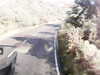 20200911-MOVI0012-frame0004.jpg
