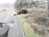 20200911-MOVI0013-frame0005.jpg