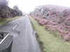 20200911-MOVI0019-frame0001.jpg