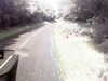 20200911-MOVI0020-frame0001.jpg