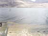 20200911-MOVI0021-frame0002.jpg