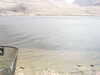 20200911-MOVI0029-frame0004.jpg