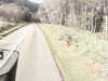 20200911-MOVI0031-frame0005.jpg