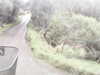 20200911-MOVI0033-frame0002.jpg