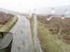 20200911-MOVI0035-frame0003.jpg