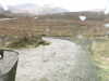 20200911-MOVI0036-frame0003.jpg