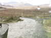 20200911-MOVI0036-frame0004.jpg