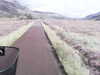 20200911-MOVI0040-frame0003.jpg