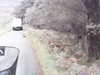 20200911-MOVI0041-frame0001.jpg