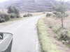 20200911-MOVI0041-frame0002.jpg