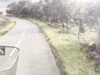 20200911-MOVI0042-frame0005.jpg