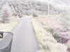 20200911-MOVI0044-frame0005.jpg