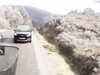 20200911-MOVI0045-frame0004.jpg