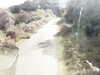 20200911-MOVI0050-frame0001.jpg