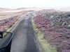 20200911-MOVI0052-frame0001.jpg