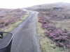 20200911-MOVI0052-frame0003.jpg