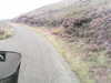 20200911-MOVI0055-frame0005.jpg
