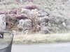 20200911-MOVI0066-frame0002.jpg