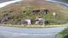 20200911-032329A-frame0004.jpg