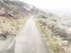 20200912-MOVI0003-frame0004.jpg