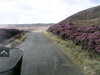 20200912-MOVI0007-frame0004.jpg