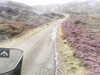 20200912-MOVI0009-frame0001.jpg