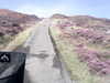 20200912-MOVI0009-frame0004.jpg