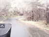 20200912-MOVI0014-frame0005.jpg