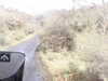 20200912-MOVI0015-frame0003.jpg
