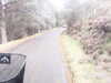 20200912-MOVI0016-frame0005.jpg