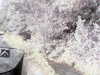 20200912-MOVI0020-frame0005.jpg
