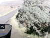 20200912-MOVI0022-frame0003.jpg