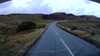 20200912-032020A-sheep-in-road-frame0002.jpg
