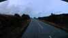 20200912-032020A-sheep-in-road-frame0004.jpg