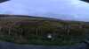 20200912-034020A-frame0005.jpg