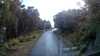 20200912-232427A-frame0004.jpg