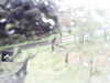 20200913-MOVI0001-frame0002.jpg