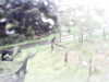20200913-MOVI0001-frame0003.jpg