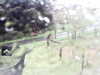 20200913-MOVI0001-frame0004.jpg
