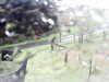 20200913-MOVI0001-frame0005.jpg