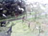 20200913-MOVI0002-frame0001.jpg