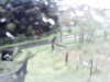 20200913-MOVI0002-frame0002.jpg