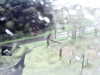 20200913-MOVI0002-frame0003.jpg