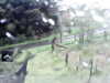 20200913-MOVI0002-frame0004.jpg