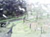 20200913-MOVI0002-frame0005.jpg