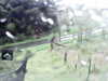 20200913-MOVI0003-frame0001.jpg