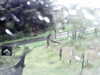 20200913-MOVI0003-frame0003.jpg