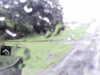 20200913-MOVI0004-frame0002.jpg