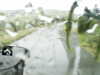 20200913-MOVI0004-frame0005.jpg